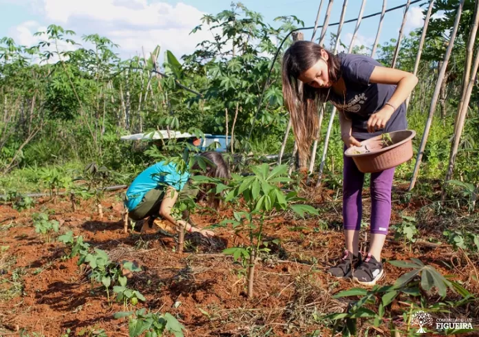 Áreas de Figueira - Tierras de la Hermandad