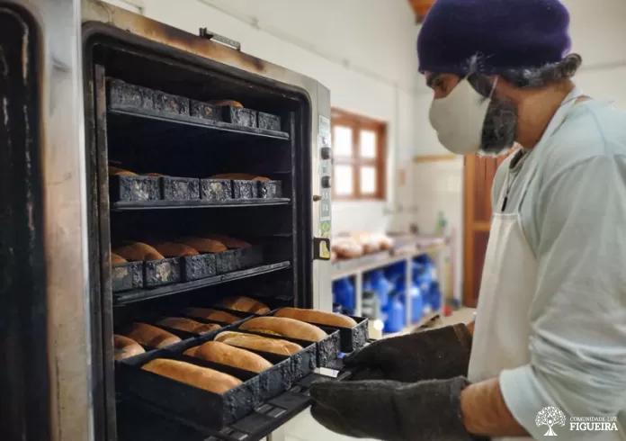 Areas of Figueira - Vida Criativa and Area Luz