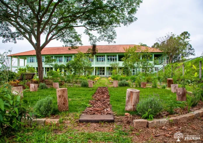 Areas of Figueira - Núcleo Coração Sagrado